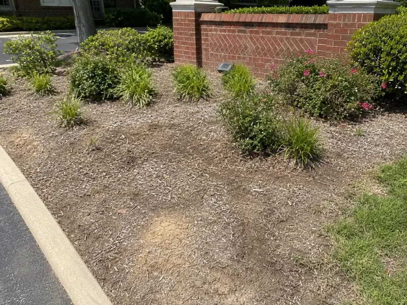 Sample site photograph: thinning mulch bed